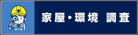 Ɖ 쌧s